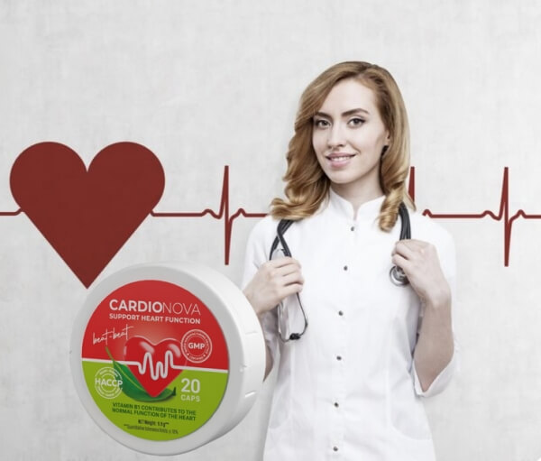 Összetevők és összetétel