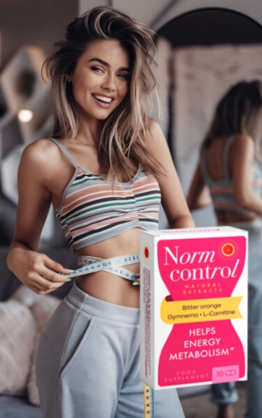 A Normcontrol használata